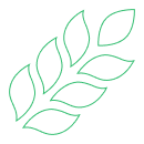 CAO LỚN